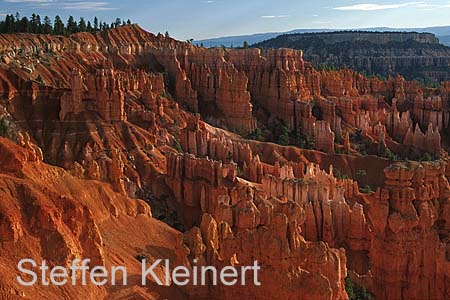 bryce canyon - utah - national park usa 042