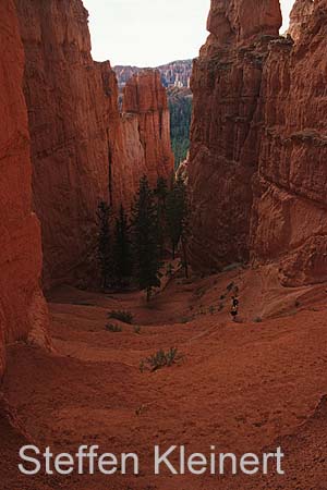 bryce canyon - utah - usa 046