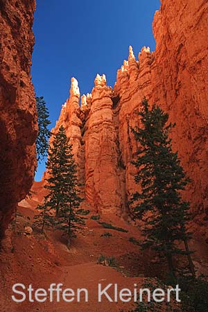 bryce canyon - utah - usa 047