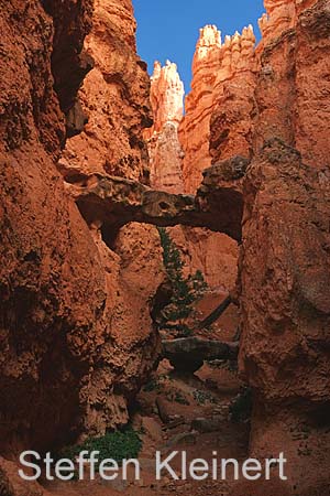 bryce canyon - utah - usa - nationalpark usa 048