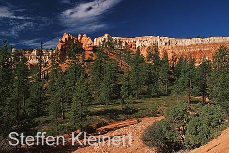 bryce canyon - utah - usa - nationalpark usa 051