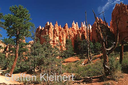 bryce canyon - utah - usa 052