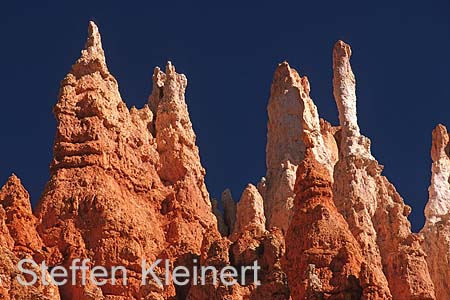 bryce canyon - utah - usa 053