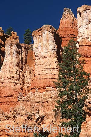 bryce canyon - utah - usa - nationalpark usa 055