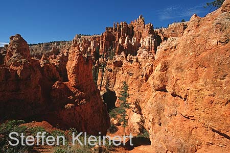 bryce canyon - utah - usa 056