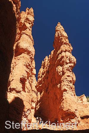 bryce canyon - utah - usa 058