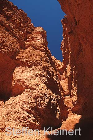 bryce canyon - utah - usa - nationalpark usa 059