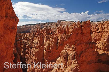 bryce canyon - utah - usa - nationalpark usa 061