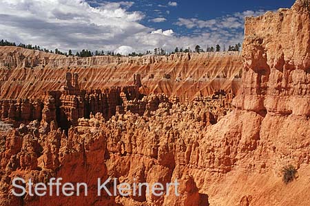 bryce canyon - utah - usa 064