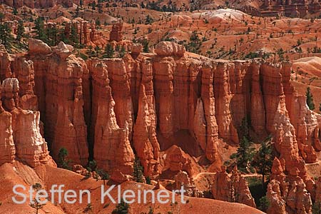 bryce canyon - utah - usa 072