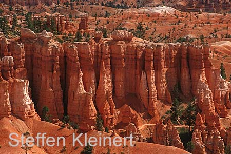 bryce canyon - utah - usa 072