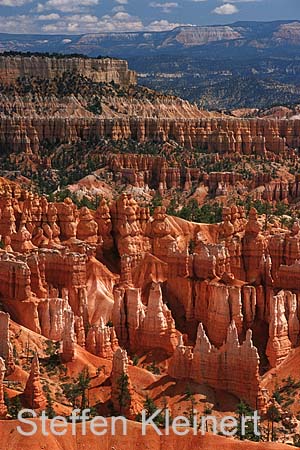 bryce canyon - utah - usa 073