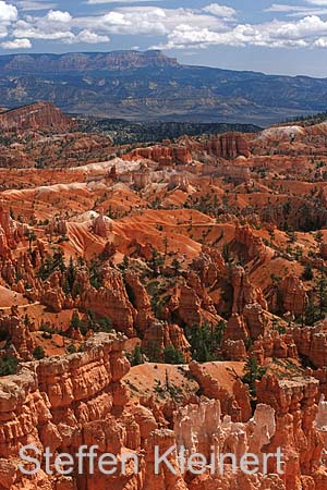 bryce canyon - utah - usa 074