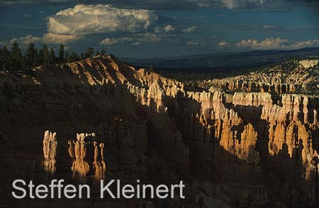 bryce canyon - utah - usa 081