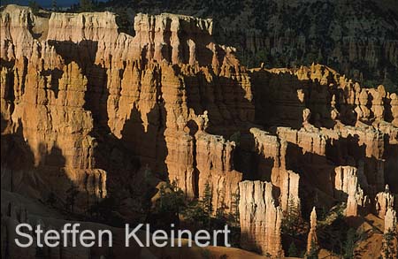 bryce canyon - utah - usa 083