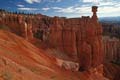 bryce canyon - thors hammer - utah - usa 043