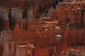 bryce canyon - utah - usa 006