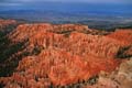 bryce canyon - utah - usa 014