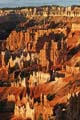 bryce canyon - utah - usa 028