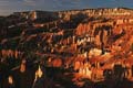 bryce canyon - utah - usa 031