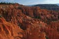 bryce canyon - utah - usa 042