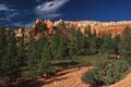 bryce canyon - utah - usa 051