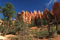 bryce canyon - utah - usa 052