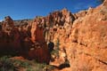 bryce canyon - utah - usa 056