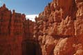 bryce canyon - utah - usa 060