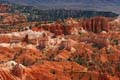 bryce canyon - utah - usa 069