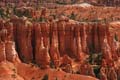 bryce canyon - utah - usa 072