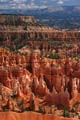 bryce canyon - utah - usa 073