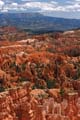 bryce canyon - utah - usa 074