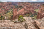 08 Canyon de Chelly, Spider Rock, Arizona, USA