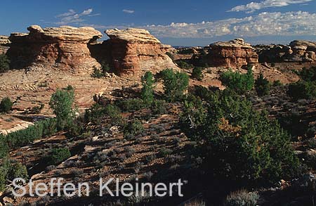 canyonlands np - the needles - utah - national park usa 006