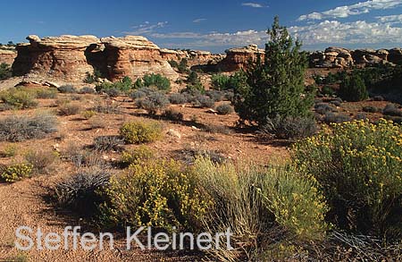 canyonlands np - the needles - utah - national park usa 007