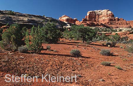 canyonlands np - the needles - utah - national park usa 013