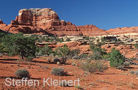 canyonlands np - the needles - utah - national park usa 014