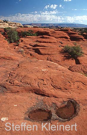 canyonlands np - the needles - utah - national park usa 015