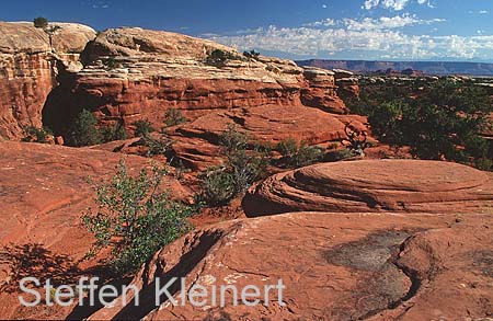 canyonlands np - the needles - utah - national park usa 016