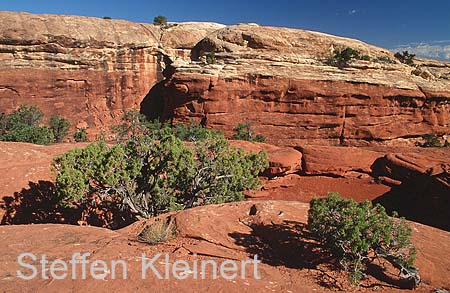 canyonlands np - the needles - utah - national park usa 018