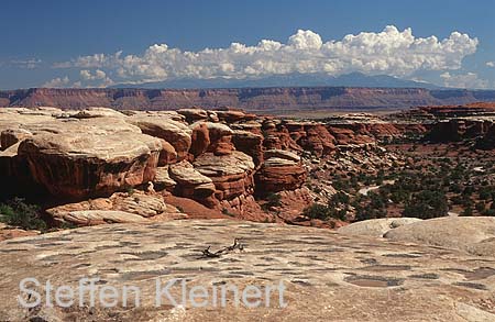 canyonlands np - the needles - utah - national park usa 022