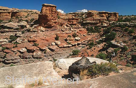 canyonlands np - the needles - utah - national park usa 031