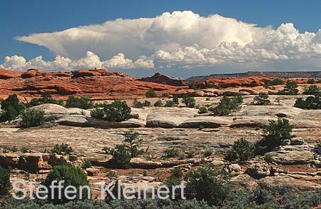 canyonlands np - the needles - utah - national park usa 032