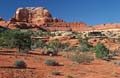 canyonlands np - the needles - utah 014