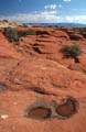 canyonlands np - the needles - utah 015