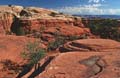 canyonlands np - the needles - utah 016