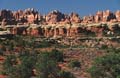 canyonlands np - the needles - utah 019