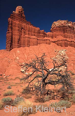 capitol reef np - chimney rock - utah - usa 019