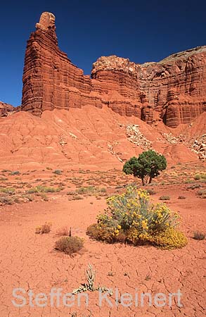 capitol reef np - chimney rock - utah - usa 021